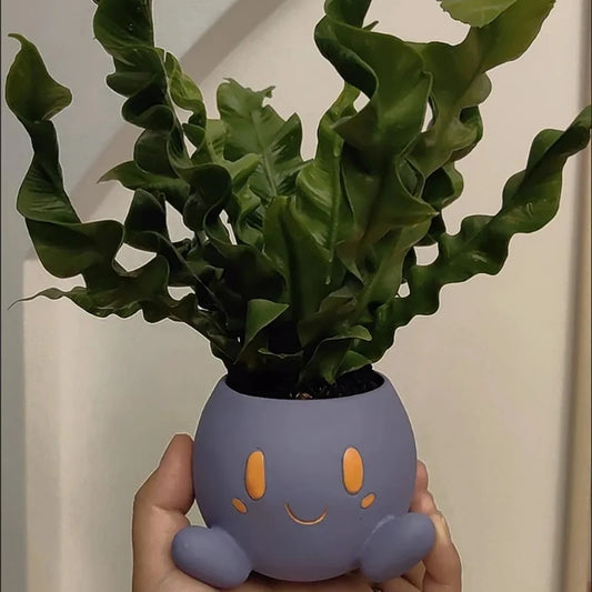 Cute Desk Planter