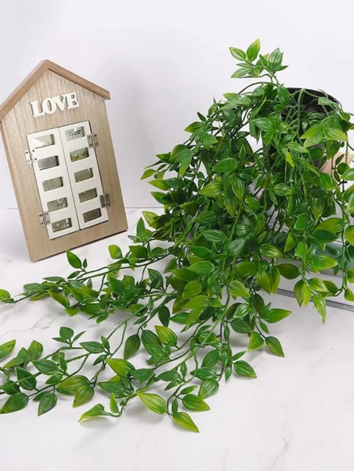 EverVine™ Hanging Ivy Decor