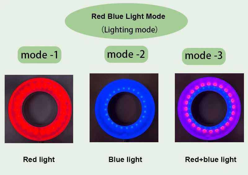 USB Full Spectrum LED Plant Grow Light – Auto Timer